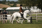 SBM_09634