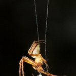 Macro portfolio