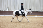 SBM_001294