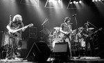 GRATEFUL DEAD
