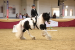 SBM_09336