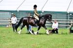 SBM_03716