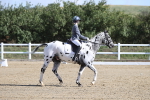 SBM_001187