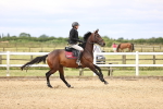 SBM_002863