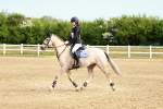 SBM_006499