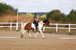 SBM_009297