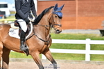 Cls 32, YH 6yr 1.20m portfolio