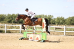 SBM_008090