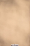 230915A-140244-00638