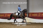 BPP_2585
