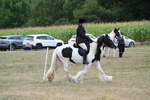 WJ7_4445