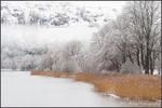 In the Grip of Winter