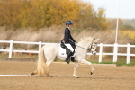 SBM_000799