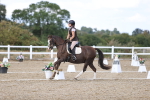 SBM_015955