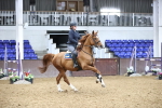 SBM_003497