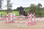 BPP_2376