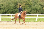 SBM_001614