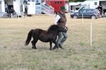 WJ6_6839