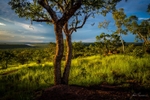 Victoria River Region portfolio