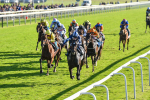 141023-Race 5-Certain Lad-1335