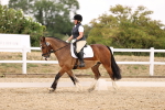 SBM_008666