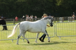 SBM_00744