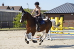 _DSC0901