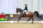 SBM_003888