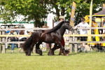 SBM_08536