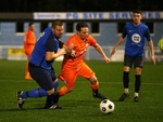 0371_BV8