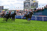 210826-Race 4-Bacio-6213