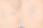 250712-120623-00485