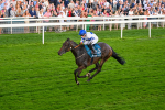 260724-Race 4-Dicko The Legend-5236