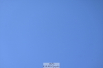 260704A-163158-16207