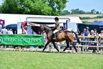 SBM_17442