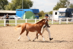 SBM_04562