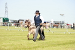 SBM_01781