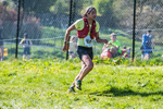 The Finish-1029