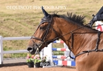 BPP_6146