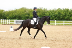 SBM_006916