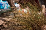 2010023_1779