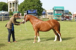 SBM_00586