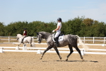 SBM_003633