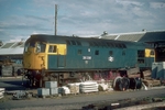 1st Aug 1984