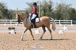 Cls 13 FEI Pony Individual portfolio