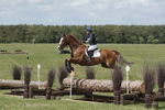BVHT 140517  IXC -413