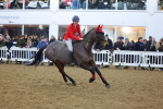 SBM_004785