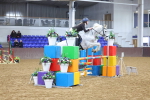 SBM_001343