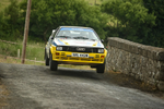 Wilton Recycling Donegal Saturday Stages 127