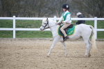 SBM_003806